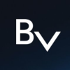 VEE logo