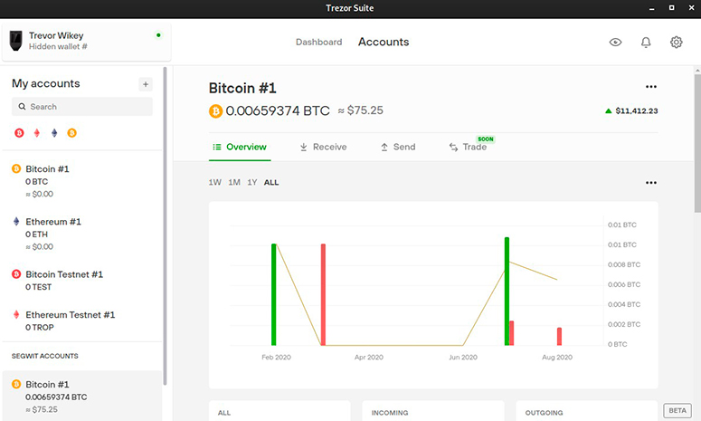 Пример UI программы TrezorSuite