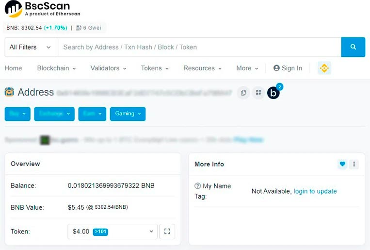 Информация о криптовалютном адресе на сервисе BscScan